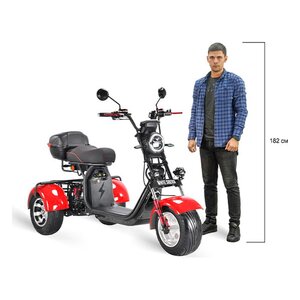 Электротрицикл WHITE SIBERIA PRO TRIKE+ — купить в Набережных Челнах